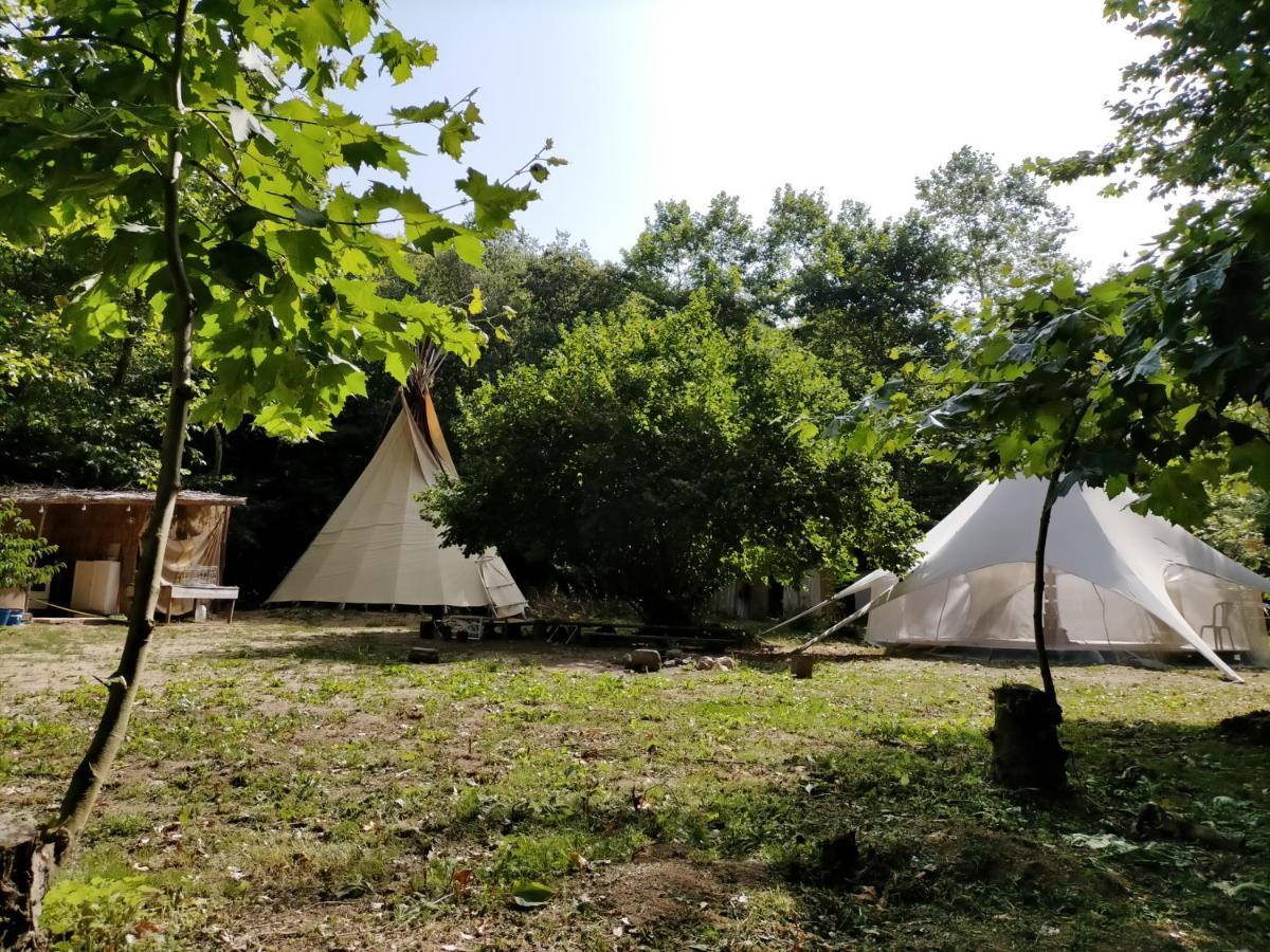 Albergue Del Oso Tierraluz Arbucies Ngoại thất bức ảnh