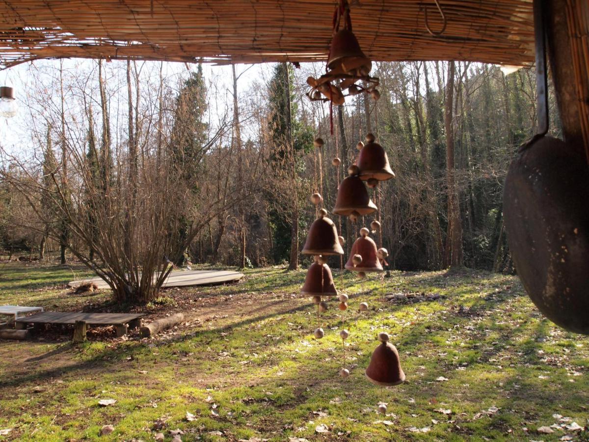 Albergue Del Oso Tierraluz Arbucies Ngoại thất bức ảnh